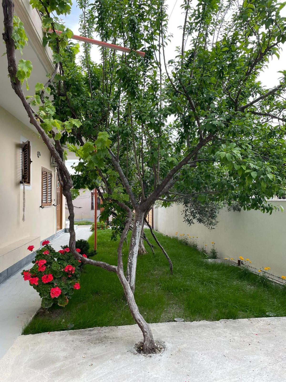 Blossom Apartments Vlorë Exteriör bild